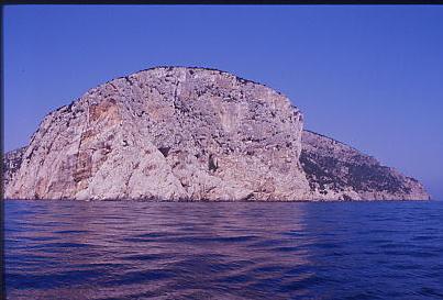 capo figari 2.jpg 23.2K