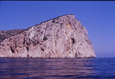 capo figari 4.jpg 22.9K