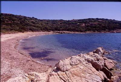 spiaggia_le_alghe.jpg 25.5K