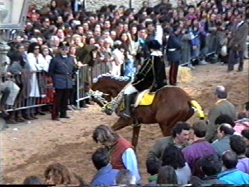 sartiglia_oristano22.jpg 44.6K