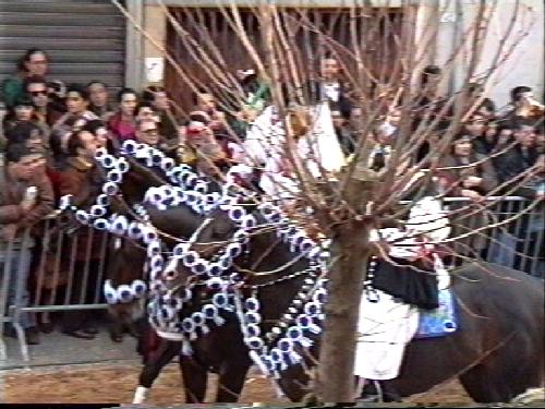 sartiglia_oristano23.jpg 48.6K