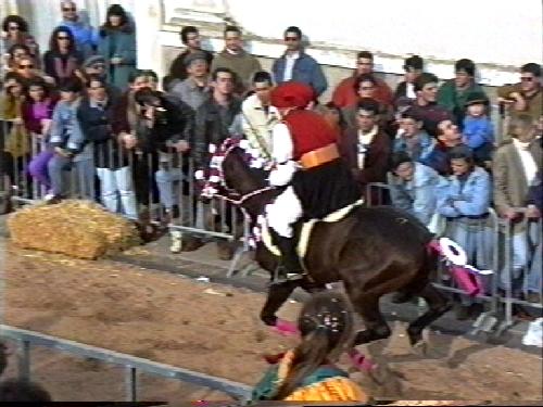 sartiglia_oristano3.jpg 40.2K