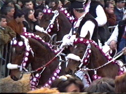 sartiglia_oristano36.jpg 40.6K